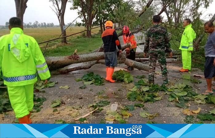 Anggota BPD Ngawi saat besihkan pohon tumbang dijalan raya