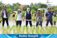 Gubernur Jawa Timur Khofifah Indar Parawansa juga melakukan penanaman padi varietas inpari 32 di Desa Karang Tinoto, Kecamatan Rengel, Kabupaten Tuban, Rabu (1/11)