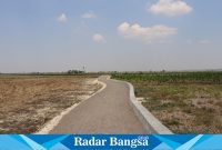 Salah satu jalan perkebunan di Lamongan (Dok foro IST)