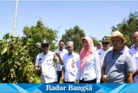 Pj. Bupati dalam arahan nya, sangat mengapresiasi dan mendukung atas program inovasi agrowisata buah tersebut.