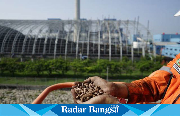 Tampilan penggunaan pelet biomassa dari kayu pohon kaliandra merah sebagai substitusi batu bara di PLTU Indramayu, Jawa Barat. (IST)