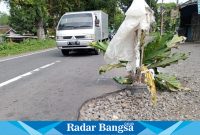 Jalan berlubang di jalan provinsi di Kabupaten Lumajang, Jawa Timur, Kamis (21/3). (Dok Riyaman)