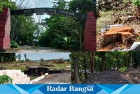 Kawasan Budaya Hutan Malowopati  wilayah BKPH Bluluk Lamongan , terlihat tumpukan limbah dan potongan kayu yang diduga dicuri (IST)