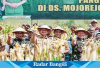 Pangdam V Brawijaya Rafael Granada Baay bersama Bupati Lamongan melaksanakan panen raya jagung di Desa Mojorejo, Kecamatan Modo, (28/5) (IST)