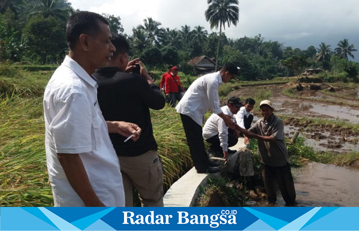 Camat Cidaun baru di lantik Bupati Cianjur Selamet Riyadi. S. STP. MAP di dampingi Sekmat D. Hadiat. SH, kades Neglasari Feri Suparman, ketua BPD Neglasari beserta tim monev kecamatan dan perangkat desa sedang menyapa petani. (Dok photo RadarBangsa.co.id)
