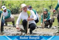 Khofifah Indar  Parawansa saat menanam  Mangrove (IST)