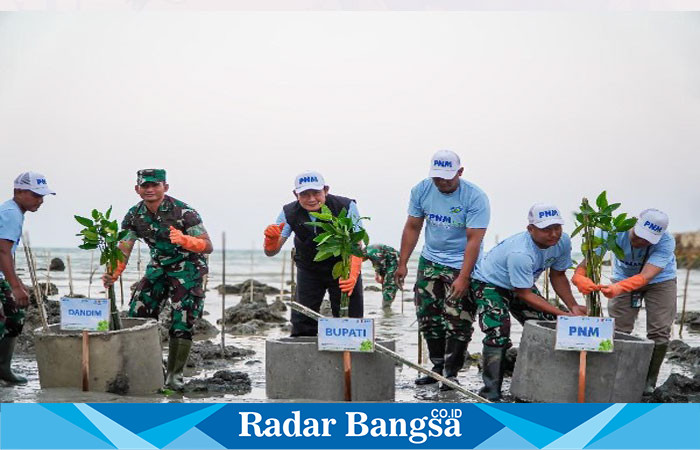 Bupati Lamongan Yuhronur Efendi saat menanam 1.000 pohon mangrove di pesisir Pantai Klayar, Kecamatan Paciran pada Jumat (26/7/2024). (IST)