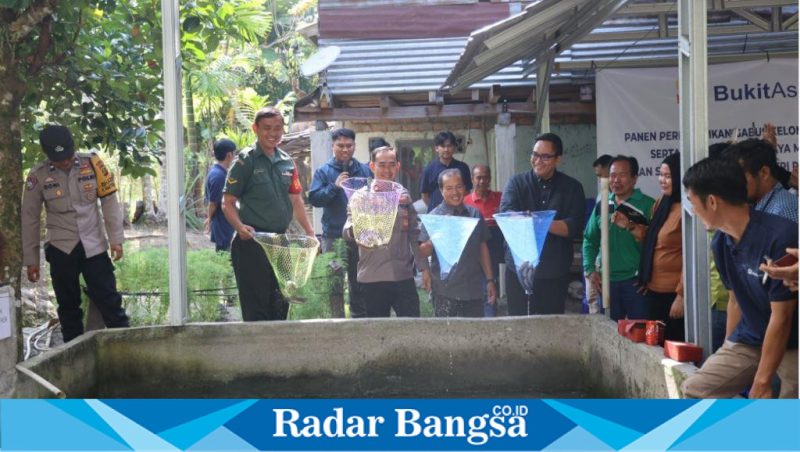 PT Bukit Asam Tbk (PTBA) mendukung pengembangan usaha budidaya ikan gabus di Desa Tanjung Agung (IST)