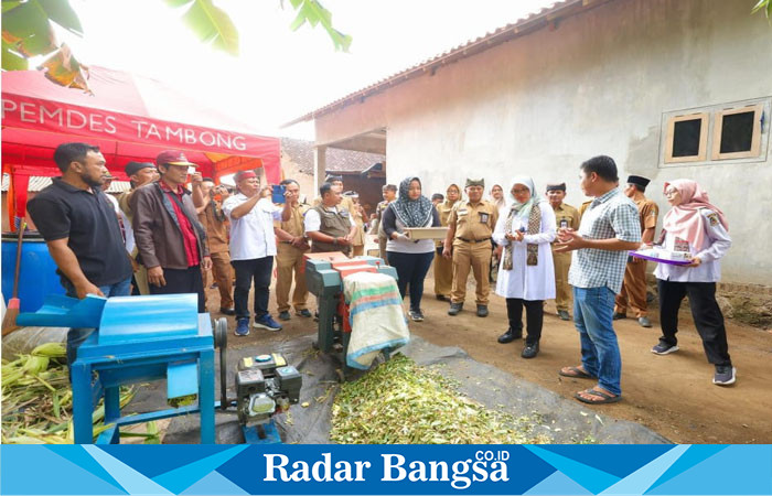 Bupati Banyuwangi, Ipuk Fiestiandani, mengunjungi pelatihan pembuatan silase di sebuah peternakan domba pada 6 Agustus 2024. Lima kelompok peternak mengikuti pelatihan. (IST)