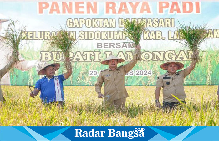 (tengah) Bupati Lamongan Yuhronur Efendi hadir langsung untuk menyaksikan panen raya di Kelurahan Sidokumpul (IST)