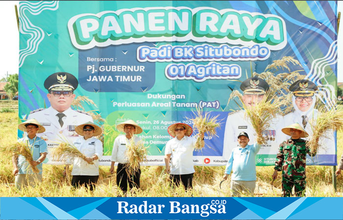 Pj Gubernur Jawa Timur, Adhy Karyono,saat melakukan panen raya padi di lahan persawahan Desa Demung, Kecamatan Besuki, Kabupaten Situbondo, pada Senin (26/8). 