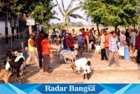 Pasar kambing dusun Basekan Desa Banjarsari Wetan Kecamatan Dagangan Kabupaten Madiun