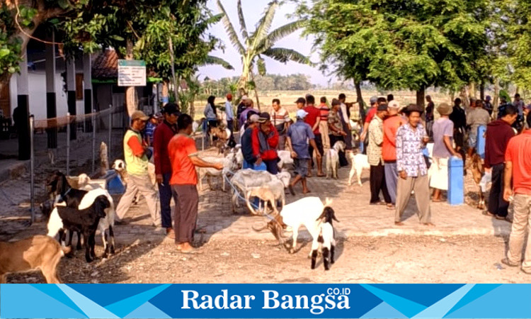 Pasar kambing dusun Basekan Desa Banjarsari Wetan Kecamatan Dagangan Kabupaten Madiun