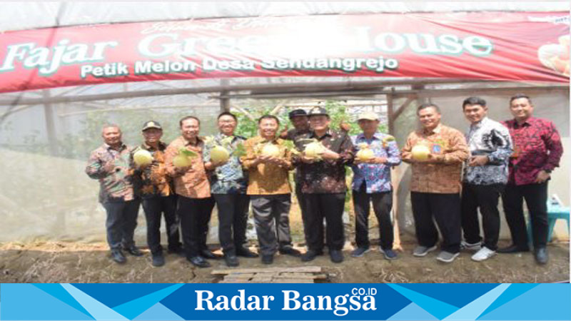 Bupati Lamongan Abdul Rouf saat menghadiri acara panen melon pada Kamis (26/9) 