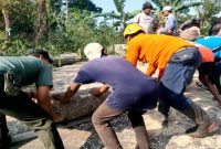 Proses evakuasi pohon yang Tumbang (IST)