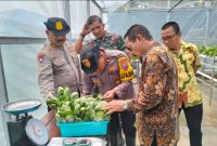 Kapolsek Krian Kompol Daky Dzul Qornain Tinjau Program Ketahanan Pangan di Desa Ponokawan (IST)