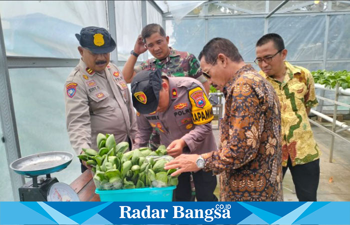 Kapolsek Krian Kompol Daky Dzul Qornain Tinjau Program Ketahanan Pangan di Desa Ponokawan (IST)