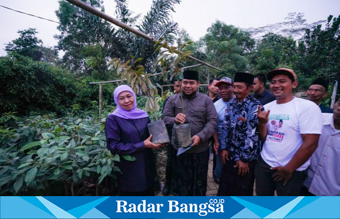 Calon Gubernur Jawa Timur nomor urut 2, Khofifah Indar Parawansa, berkunjung ke Kebun Pembibitan Buana Bakti yang berada di RT 15 RW 5, Desa Kedung Lurah, Kecamatan Pogalan, Trenggalek (hms)