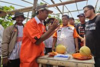 Ketua DPW PKS Jawa Timur, Irwan Setiawan saat panen Buah Melon bersama Mas Dhito (IST)