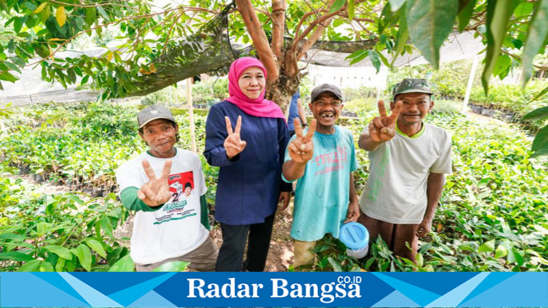 Calon Gubernur Jawa Timur nomor urut 2, Khofifah Indar Parawansa, mengunjungi kebun pembibitan buah milik Rohmatul Ummah di Desa Juwet (hms)