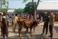 Anggota Polsek Tikung saat berpatroli di Pasar Hewan (IST)