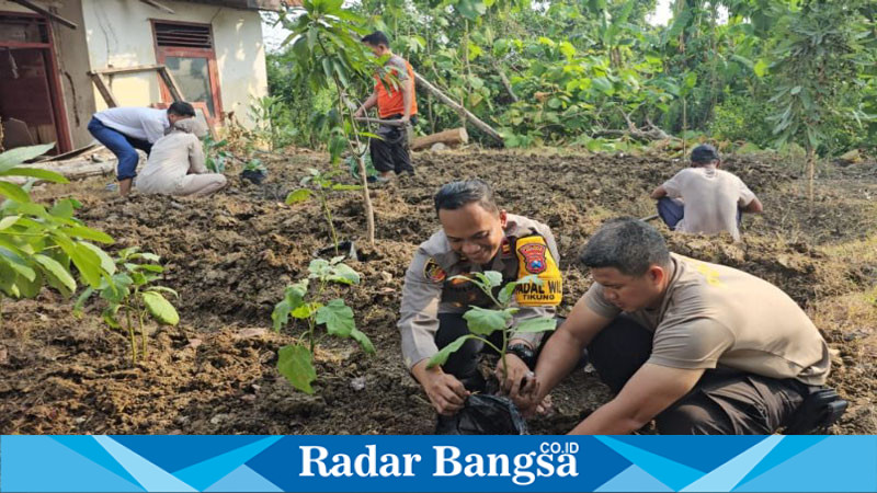 Kapolsek Tikung IPTU Tulus Haryanto, S.E., M.H., bersama anggotanya memanfaatkan lahan di pekarangan belakang Mako Polsek Tikung menanam cabai, tomat, terong, dan brokoli (IST)