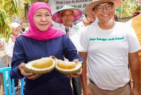 Calon Gubernur Jawa Timur Terpilih, Khofifah Indar Parawansa (hms)