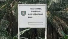 Plank  pemberitahuan tanah ini milik pemerintah kabupaten Asahan yang terpasang di lahan perkebunan eks HGU PT. BSP Kisaran. ( foto/istimewa)