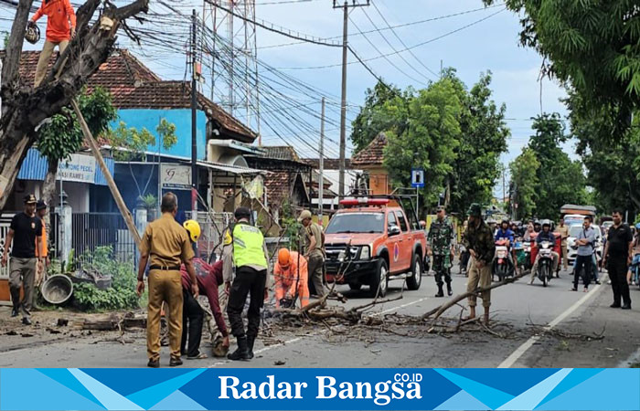 Polsek Tikung Polres Lamongan bersama BPBD Kabupaten Lamongan saat  evakuasi pohon rapuh yang hampir tumbang di jalan raya Lamongan–Mojokerto, tepatnya di depan Kantor Kecamatan Tikung (IST)