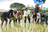 Bupati Lamongan Yuhronur Efendi saat menanam padi  di Lapangan Jotosanur Lamongan (IST)