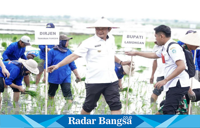 Bupati Lamongan, Yuhronur Efendi, saat mendampingi Direktur Jenderal Tanaman Pangan Kementerian Pertanian Republik Indonesia, Yudi Sastro, dalam kegiatan gerakan tanam percepatan LTT di Desa Kebalanpelang, Kecamatan Babat (ist)