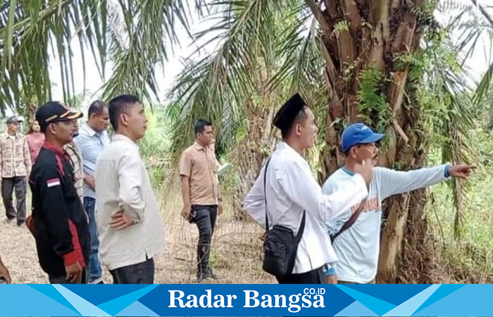 PT. Padasa Enam Utama serobot dan rusak tanaman sawit milik warga. (foto/Hafidz )