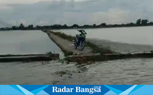 Lahat sawah yang terendam banjir (Dok Joko )