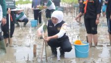 Khofifah Indar Parawansa, saat menanam pohon di Hari Gerakan Sejuta Pohon (hms)