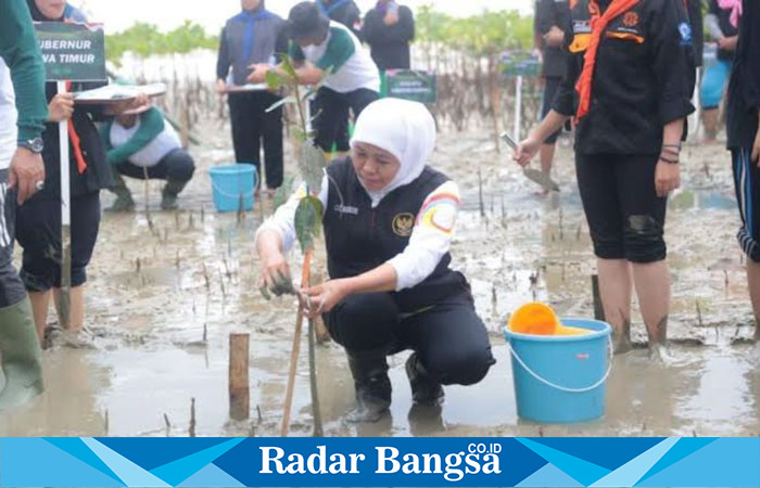 Khofifah Indar Parawansa, saat menanam pohon di Hari Gerakan Sejuta Pohon (hms)