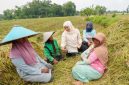 Calon Gubernur Jawa Timur terpilih, Khofifah Indar Parawansa, menghadiri acara Panen Raya Padi Sehat Alami Setara Organik di Desa Krajan (hms)