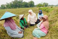 Calon Gubernur Jawa Timur terpilih, Khofifah Indar Parawansa, menghadiri acara Panen Raya Padi Sehat Alami Setara Organik di Desa Krajan (hms)