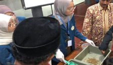 Mahasiswa Universitas Airlangga (Unair) Surabaya BBK 5, melaksanakan pelatihan program Tamiajeng Maggot Initiative (ist)