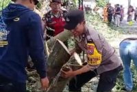 Polres Batu bersama Dinas terkait Kota Batu dan Koramil Batu, evakuasi pohon tumbang di Jl.Pattimura Kota Batu