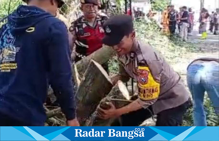 Polres Batu bersama Dinas terkait Kota Batu dan Koramil Batu, evakuasi pohon tumbang di Jl.Pattimura Kota Batu