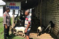 Anggota Polsekta Lamongan saat mengunjungi penjual Kambing di Desa Made (ist)