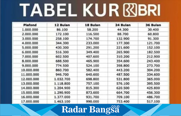 Program KUR BRI 2025, Pinjaman Mudah untuk UMKM – RadarBangsa Lamongan