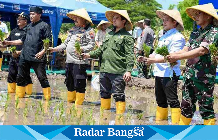 Lapas  Kelas IIA Banyuwangi menggelar penanaman padi di Sarana Asimilasi dan Edukasi (ist)