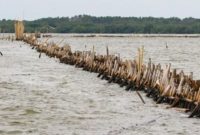Pagar Laut (Dok suara.com)