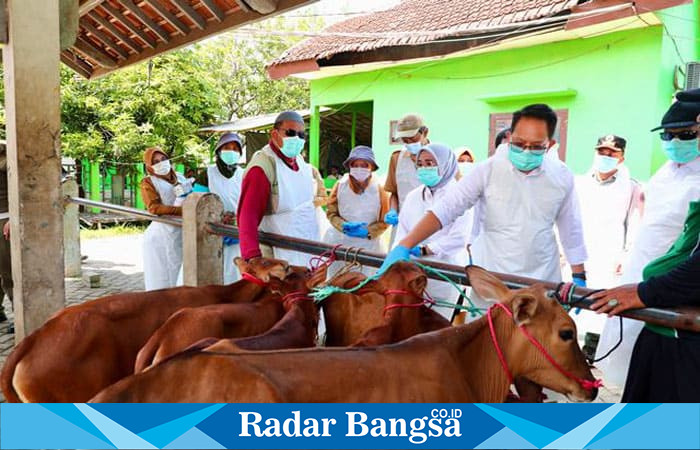 Pj Gubernur Jawa Timur Adhy Karyono saat mengunjungi peternak sapi (ist)