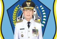 Bupati Lamongan, Yuhronur Efendi (ist)
