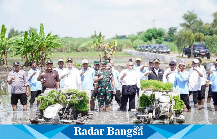 Kabupaten Lamongan mencatat capaian Luas Tambah Tanam (LTT) padi sebesar 28,30 persen hingga April 2025 (ist)