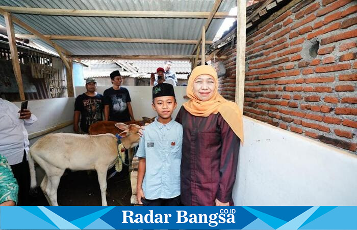 Gubernur Khofifah menyerahkan dua ekor sapi kepada siswa SD Nanda Rosifulloh di Singosari, Malang (hms)