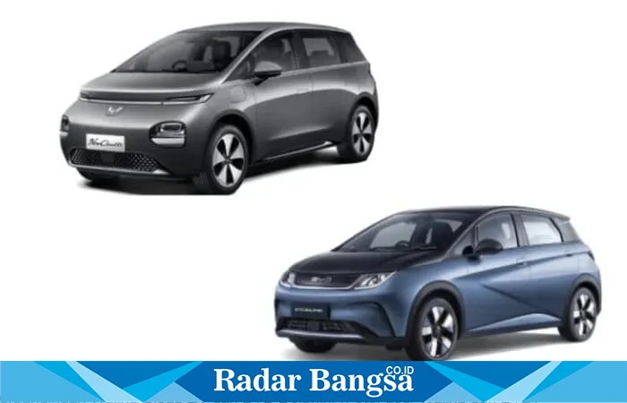  Perbandingan Wuling Cloud EV dan BYD Dolphin. (Foto: dok. Wuling dan BYD)