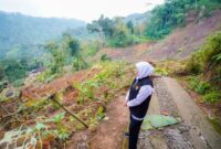 Gubernur Khofifah meninjau lokasi longsor Trenggalek (ist)